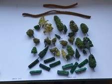 Auswahl Bäume/Hecken +