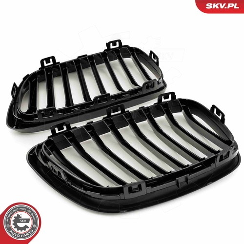 Für skv germany - skv,