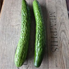 Salatgurke Gurke Deko