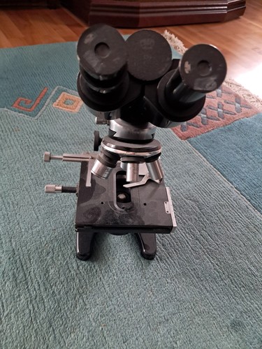 binokulares