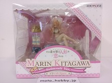 NEU ANIPLEX + My Dress-Up