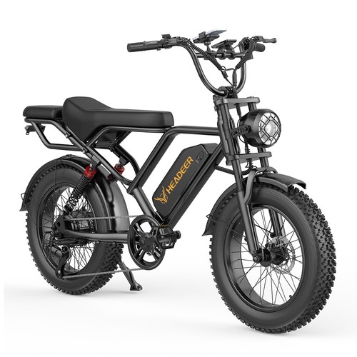 750w 48v 20ah elektrofahrrad - 48v,