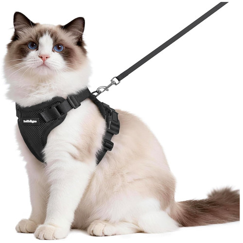 Katzengeschirr aus