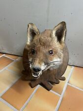 Fuchs Kopf Präparat- Trophäe