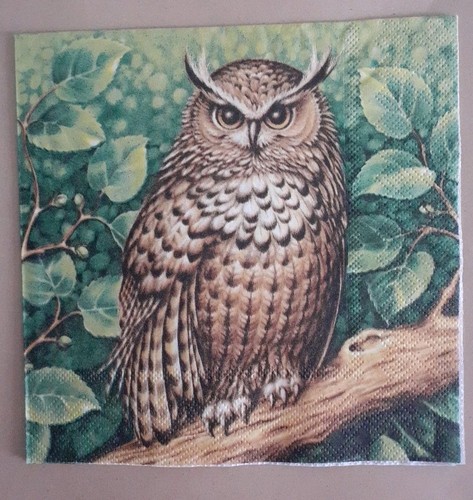 Servietten eule uhu - 4,