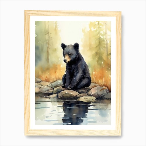 Schwarzbär jungtier aquarell - schwarzbär,