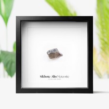 Sikhote-Alin Meteorit Real