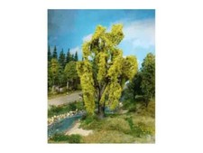 Heki 1901 1 Trauerweide, 20