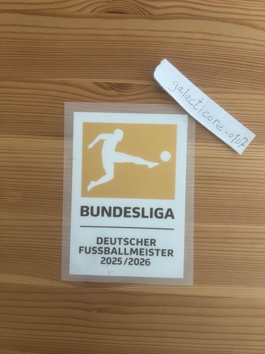 2025 2026 bundesliga - bundesliga, champions