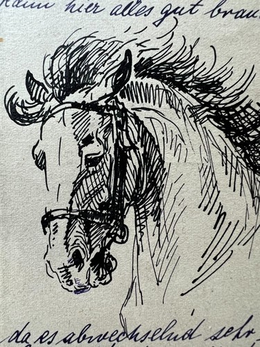 Pferd pferdekopf original - -,