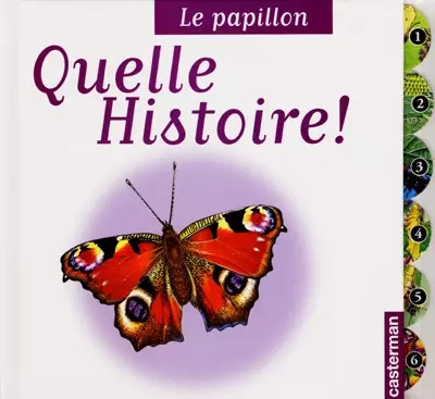Papillon vincent albouy - le,