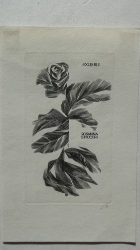 Exlibris kupferstich von - exlibris,