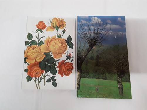 Ddr briefpapier rosen - x,