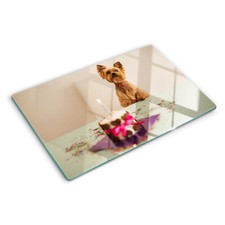 Glas-Herdabdeckplatte