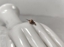 1 x  Ohrring / Ohrringe