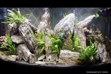 Woodstone bruchsteine aquarium - woodstone,