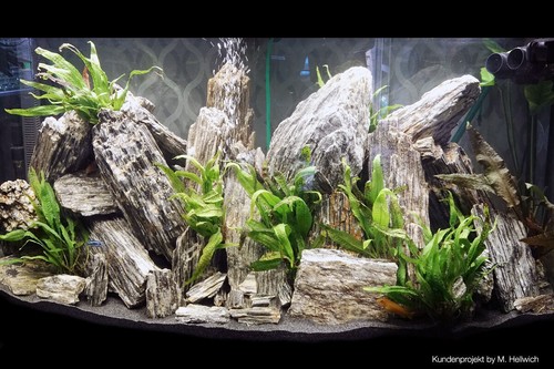 Woodstone bruchsteine aquarium - woodstone,