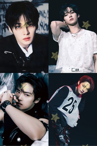 Stray kids lee know fanmade - stray,