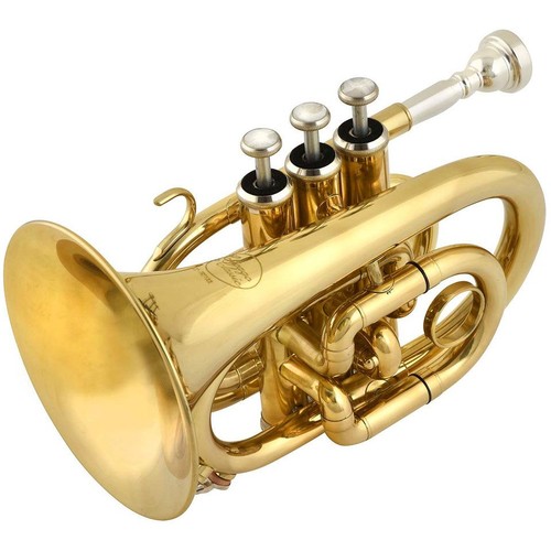Taschentrompete chicago winds - taschentrompete,