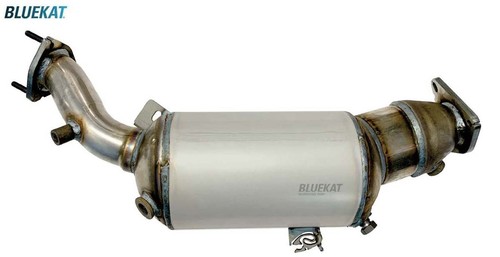 Bluekat ruß - bluekat,