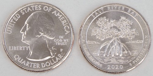 Usa quarter america - quarter, the