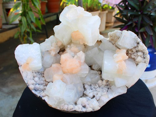 Apophyllitkristalle mit - apophyllitkristalle,