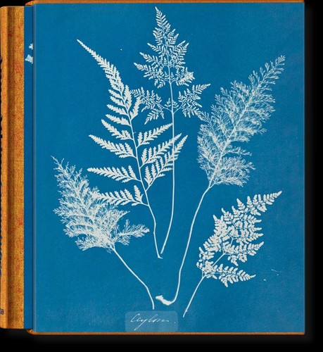 Anna atkins peter - peter, walther