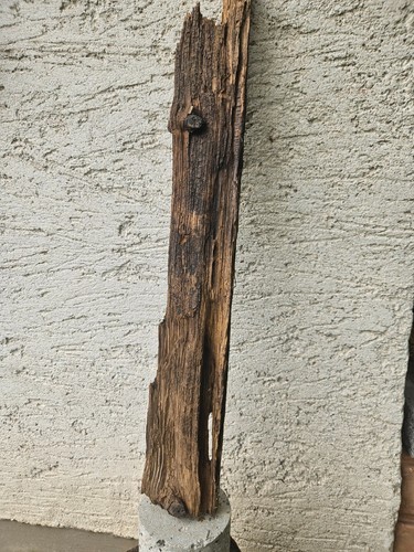 Treibholz schwemmholz - treibholz,
