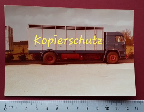 Foto büssing viehtransporter - foto,