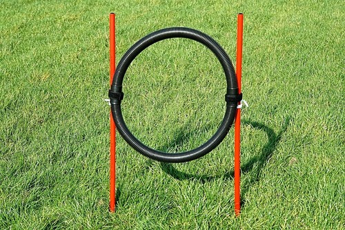 Agility übungs set blau - agility-Übungs-set, in