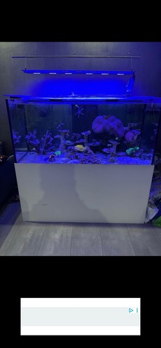 Meerwasseraquarium komplett - meerwasseraquarium,