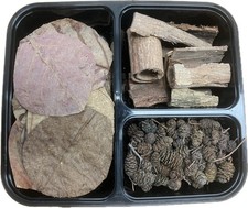 Aquarium Set mit Tanninen für gesundes Wasser - Erlenzapfen Seemandelbaumblätter