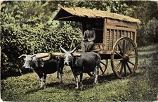 PC INDONESIA TRANSPORT TROLLEY