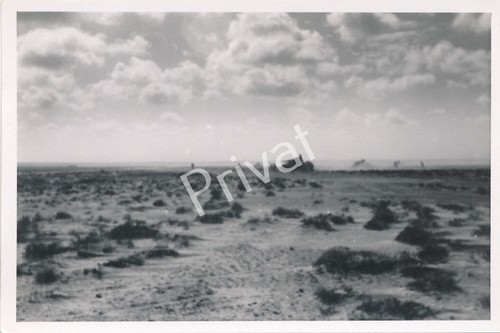 Foto wkii wehrmacht panzer - foto,