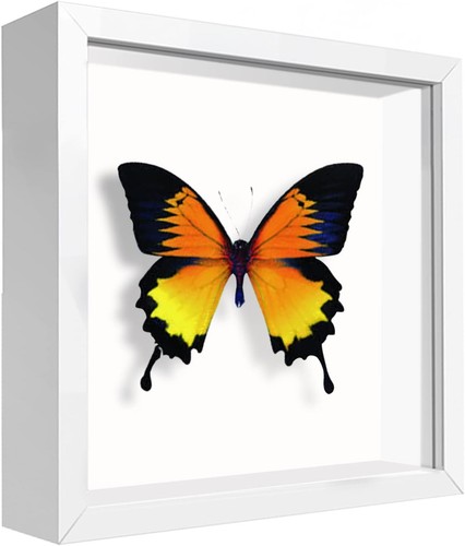 Bilderrahmen 5x14 5 cm - d, 14,5x14,5