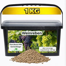 Weinreben Dünger Flora Boost