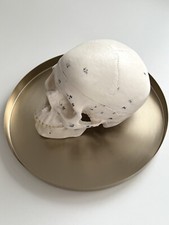 Anatomisches magnetisches Schädel-Modell, nummeriert, 3 Teile