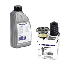 BorgWarner Hydraulikfilter Haldex-Kupplung ÖL für VW GOLF 5 6 PASSAT B7 