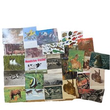 27 Postkarten AK Tiere