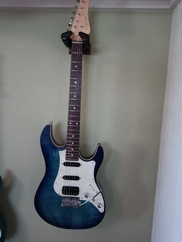 Electric guitar fgn standard - electric, j-standard