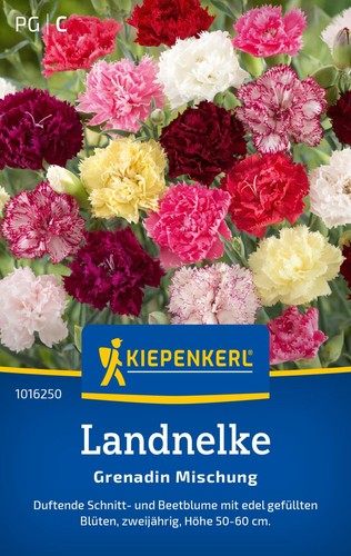 Kiepenkerl landnelkensamen - kiepenkerl,