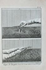 Türkei Orient Teppich Carpet Weberei Webstuhl Werkzeug Handwerk Schere Messer