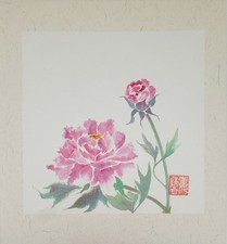 Bild Pfingrosen Selbstgemalte