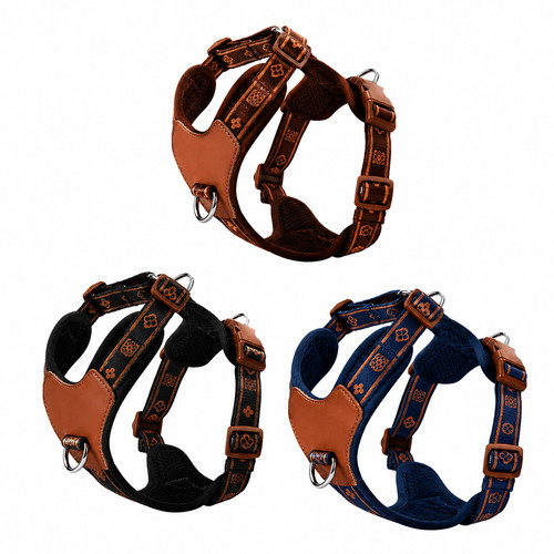Modernes hundegeschirr - modernes,