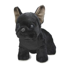 Schwarze Französische