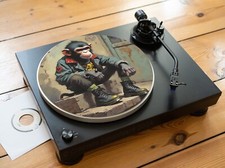 Skinhead Affe Punk Ska OI