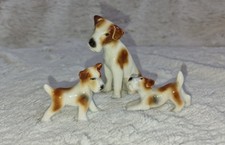 3 Airedale Terrier aus