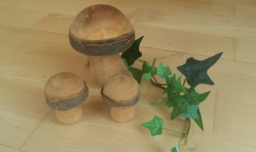 Holzpilze holzpilz pilz - holzpilz,