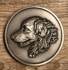 Großer Hund Typ Hund groß