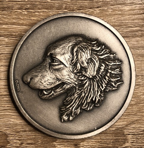 Großer hund typ - großer, groß